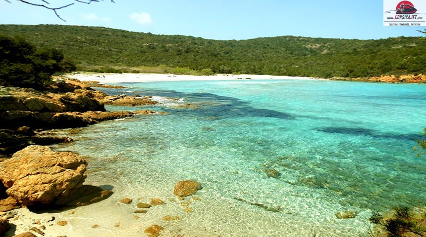 Palombaggia jet ski tour